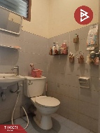 �͹� �ҧ���