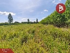 ���Թ 3,636 ���ҧ��