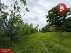 ���Թ 574 ���ҧ��