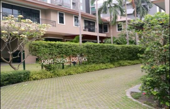 / For rent Sukhumvit Ekamai house ҹ͡ آԷ   150,000 baht 5 beds , can be home office