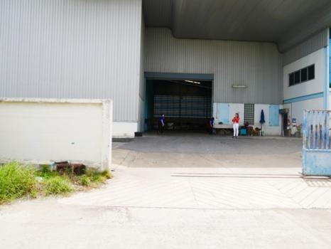 çҹҧ طûҡ ʹԹó Warehouse for Rent at Bangplee-Tamru Road,( SPS-PPW013 )