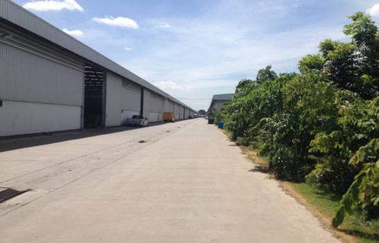 çҹAirport A086-⡴ѧ çҹͿӹѡҹ 鹷 1,000 . .ҧ-Ҵ .5 Warehouse and office for rent Bangna Trad road KM 5  Warehouse area: 1,000 sq.m