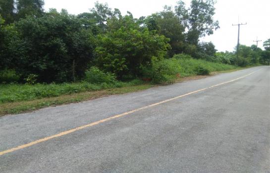 ���Թ������ ��ù�¡