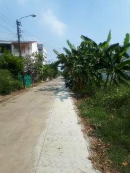 �س ��ѹ���