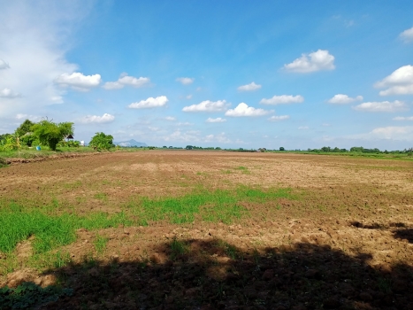 ���Թ 38 ���