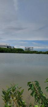 �س ��ѹ���