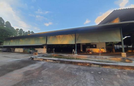 โรงงาน ศรีมหาโพธิ ปราจีนบุรี โรงงาน ศรีมหาโพธิ ปราจีนบุรี