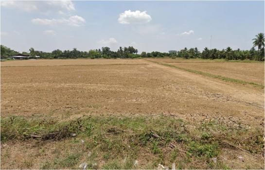 ���Թ 38 ���