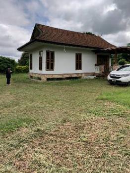 �س ��ѹ���