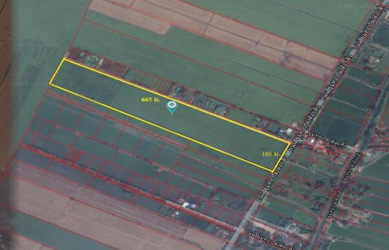 ���Թ 38 ���