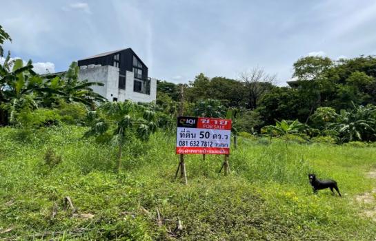 ขายที่ดิน ถนนนวลจันทร์ 3,000,000-6,000,000 บาท