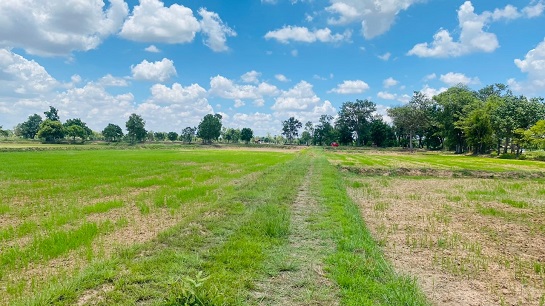 Greatestproperty 094 393 6289