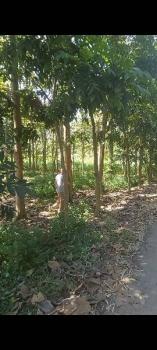 �س ��ѹ���